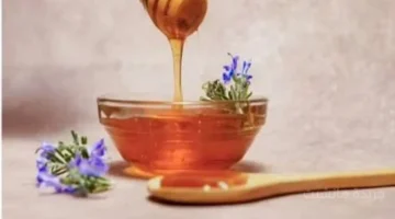 لمقاومة الأنيميا وتقوية المناعة.. العسل الأسود يتفوق على نظيره الأبيض لهذه الأسباب 1